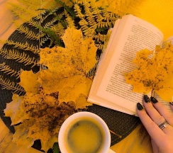 Дом в БлагоДать