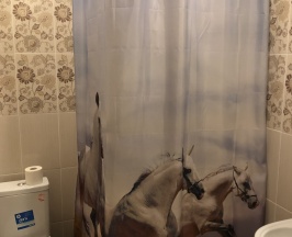 Стандарт с тремя односпальными кроватями в Гранд Лион