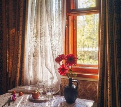 2-местный номер полулюкс с 2 односпальными кроватями в Чеховская дача