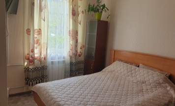 Двухместный номер Standard (двуспальная кровать) в Домашний