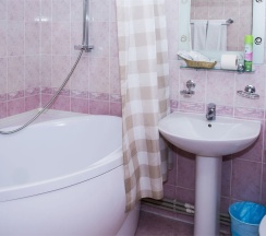 Полулюкс DOUBLE в Грин парк