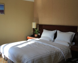 Полулюкс в SoLuxe Hotel Almaty