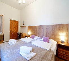 Двухместный номер с двуспальной или двумя односпальными кроватями в Светлый у Эрмитажа