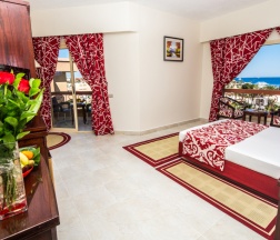 Семейный номер Deluxe с балконом и с красивым видом из окна в Seagull Beach Resort Families & Couples Only - All Inclusive
