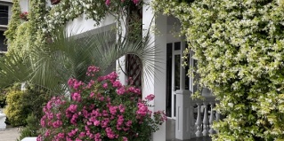 Новый Афон: Отель Hotel Phanakopi