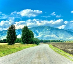 Гостевые дома в Уймон-Парк