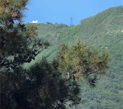 Комфорт Плюс с террасой в Цитрус