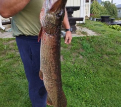 Студия в Рантатало