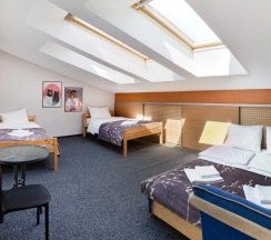 Четырёхместный номер Economy Мансарда в Янка