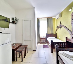 Двухместный номер с красивым видом из окна 2 отдельные кровати в Delsochi