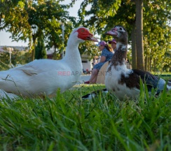 Квартира в Red Apartments