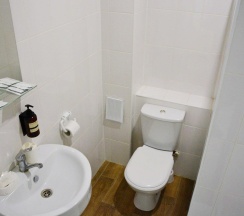 2-местный номер стандарт в Green park