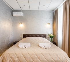 Стандарт Плюс (двухместный номер с одной двуспальной кроватью + доп.место) в Заречье