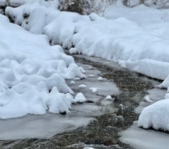 Дом с баней  (7-местный) в Таулу Архыз