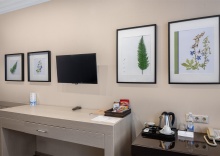 Бизнес с видом на город в Kulibin Parkhotel&SPA 5*