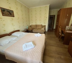 Комфорт Трехместный в Орион