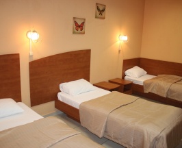 Трехместный эконом в Добрый кот