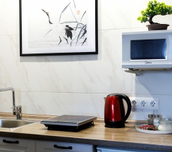Квартира в Апартаменты на 9.3 Rose Studio ул. Гаврилова, 4