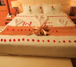 Номер Superior в Haven Hotel