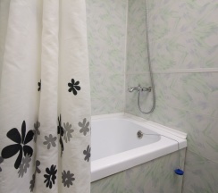 Коттедж в Сойкино