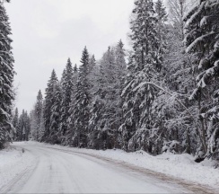 Барн Хауз Фрилуфтслив БИГТРЭВЛ в Папоротник