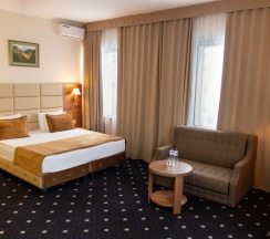 Deluxe DBL/TWN в Central city