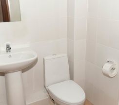 Четырехместный Стандарт в Можжевеловый парк