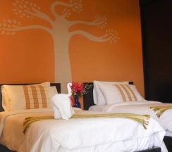 Одноместный номер Standard в The Phufa Waree Chiangrai Resort