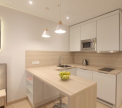 Студия, 27 м², 6/9 эт. Социалистическая ул., 21 в Rentalspb центральный