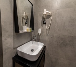 2-местный номер стандарт премиум в Xenia city hotel