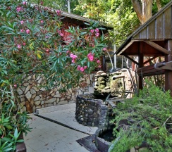 Одноместный номер в Delsochi