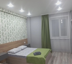 Двухместный номер Standard 2 отдельные кровати в Плесецкая