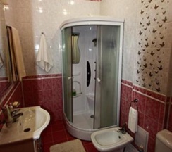 Номер полулюкс с 1 двуспальной кроватью в Дом Лесника