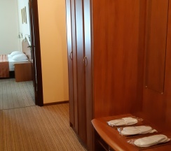 Номер комфорт улучшенный в Friedental