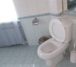 Одноместный номер Эконом в Пригородный