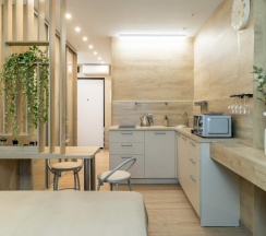 Tree №221  | Студия с видом на Волгу в Nort на Родионова