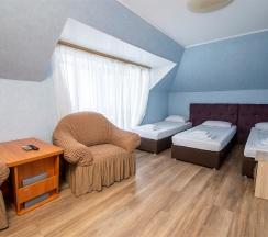 Стандарт ком. №2 в Золотой Лев