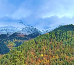 Двухэтажный дом с кухней в Hayat Haus