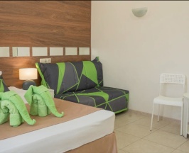 Family room (2+2) в Green Elephant