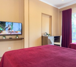 Трёхместный номер Супериор c 1 комнатой с балконом и с красивым видом из окна в Aimara