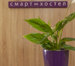 Кровать в общем 8-ми местном номере в Сова