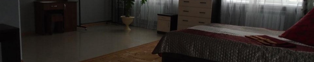 Номер стандарт с 1 двуспальной кроватью (с завтраком) в Космос