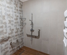 Одноместный номер (Главный корпус) Стандарт c 1 комнатой в Литфонд