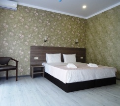 Номер Superior с балконом в Слон