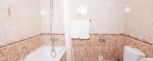 Deluxe Twin в Берёзка
