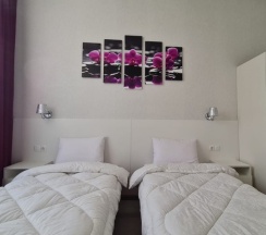 Стандартный номер с 2 односпальными кроватями в Репин