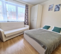 Апартаменты стандарт Домодедово Курыжова 32 в Runway Apartments на улица Курыжова 32