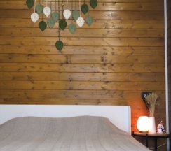 Домик 3 в Мечта