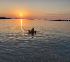 Вилла в Pharos