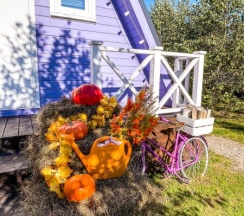 Лавандовый дом в А у реки